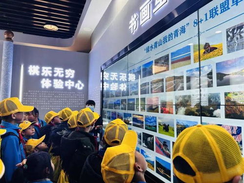 西寧團訊 團大通縣委組織開展紅領巾傳統文化研學活動