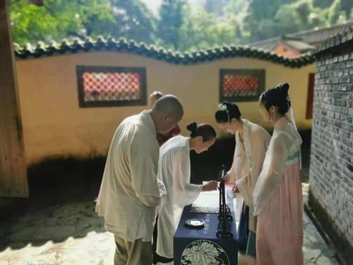 書(shū)院雅集丨辛丑年傳統(tǒng)文化藝術(shù)雅集孟夏之約暨首屆傳統(tǒng)文化大家談主題論壇活動(dòng)在趙公山成功舉辦